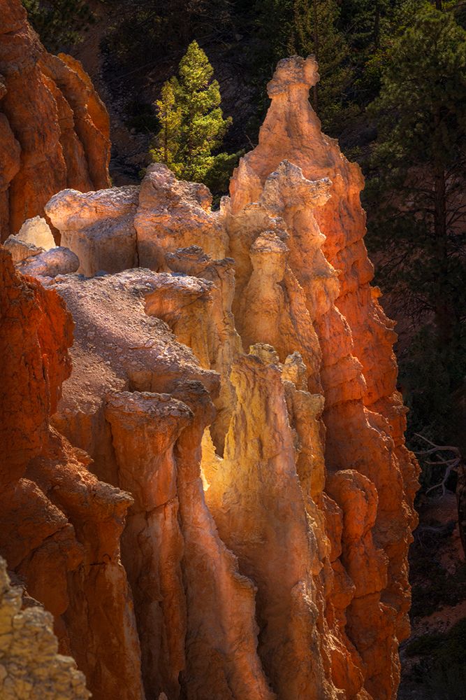 Sunrise at Bryce Canyon National Park, Utah